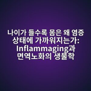 나이가 들수록 몸은 왜 염증 상태에 가까워지는가: Inflammaging과 면역노화의 생물학 3 eb8298ec9db4eab080 eb93a4ec8898eba19d ebaab8ec9d80 ec999c ec97bceca69d ec8381ed839cec9790 eab080eab98cec9b8ceca780eb8a94eab080 inflammaging 1788073825