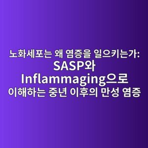 노화세포는 왜 염증을 일으키는가: SASP와 Inflammaging으로 이해하는 중년 이후의 만성 염증 3 eb85b8ed9994ec84b8ed8faceb8a94 ec999c ec97bceca69dec9d84 ec9dbcec9cbced82a4eb8a94eab080 saspec9980 inflammagingec9cbceba19c ec9db4ed95b4 1787942568