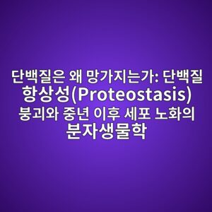 단백질은 왜 망가지는가: 단백질 항상성(Proteostasis) 붕괴와 중년 이후 세포 노화의 분자생물학 9 eb8ba8ebb0b1eca788ec9d80 ec999c eba79deab080eca780eb8a94eab080 eb8ba8ebb0b1eca788 ed95adec8381ec84b1proteostasis ebb695eab4b4ec9980 1788073347