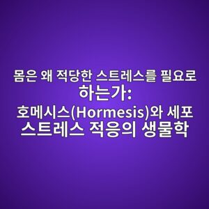 몸은 왜 적당한 스트레스를 필요로 하는가: 호메시스(Hormesis)와 세포 스트레스 적응의 생물학 5 ebaab8ec9d80 ec999c eca081eb8bb9ed959c ec8aa4ed8ab8eba088ec8aa4eba5bc ed9584ec9a94eba19c ed9598eb8a94eab080 ed98b8eba994ec8b9cec8aa4hor 1788073712