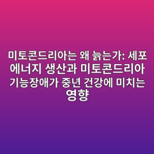 미토콘드리아는 왜 늙는가: 세포 에너지 생산과 미토콘드리아 기능장애가 중년 건강에 미치는 영향 2 ebafb8ed86a0ecbd98eb939ceba6acec9584eb8a94 ec999c eb8a99eb8a94eab080 ec84b8ed8fac ec9790eb8488eca780 ec839dec82b0eab3bc ebafb8ed86a0 1787942645
