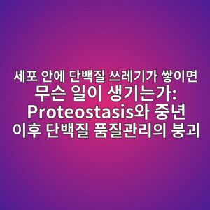 세포 안에 단백질 쓰레기가 쌓이면 무슨 일이 생기는가: Proteostasis와 중년 이후 단백질 품질관리의 붕괴 4 ec84b8ed8fac ec9588ec9790 eb8ba8ebb0b1eca788 ec93b0eba088eab8b0eab080 ec8c93ec9db4eba9b4 ebacb4ec8aa8 ec9dbcec9db4 ec839deab8b0eb8a94 1788074425