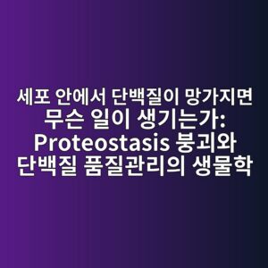 세포 안에서 단백질이 망가지면 무슨 일이 생기는가: Proteostasis 붕괴와 단백질 품질관리의 생물학 1 ec84b8ed8fac ec9588ec9790ec849c eb8ba8ebb0b1eca788ec9db4 eba79deab080eca780eba9b4 ebacb4ec8aa8 ec9dbcec9db4 ec839deab8b0eb8a94eab080 pro 1788073958