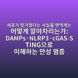 세포가 망가졌다는 사실을 면역계는 어떻게 알아차리는가: DAMPs·NLRP3·cGAS-STING으로 이해하는 만성 염증 1 ec84b8ed8faceab080 eba79deab080eca18ceb8ba4eb8a94 ec82acec8ba4ec9d84 eba9b4ec97adeab384eb8a94 ec96b4eb96bbeab28c ec958cec9584ecb0a8 1788074647