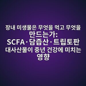 장내 미생물은 무엇을 먹고 무엇을 만드는가: SCFA·담즙산·트립토판 대사산물이 중년 건강에 미치는 영향 9 ec9ea5eb82b4 ebafb8ec839debacbcec9d80 ebacb4ec9787ec9d84 eba8b9eab3a0 ebacb4ec9787ec9d84 eba78ceb939ceb8a94eab080 scfac2b7eb8bb4eca699 1788074737