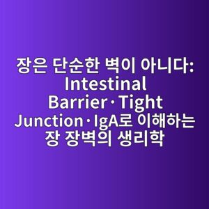 장은 단순한 벽이 아니다: Intestinal Barrier·Tight Junction·IgA로 이해하는 장 장벽의 생리학 8 ec9ea5ec9d80 eb8ba8ec889ced959c ebb2bdec9db4 ec9584eb8b88eb8ba4 intestinal barrierc2b7tight junctionc2b7igaeba19c ec9db4ed95b4ed9598eb8a94 ec9ea5 1788074834
