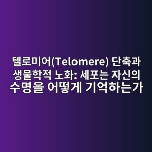 텔로미어(Telomere) 단축과 생물학적 노화: 세포는 자신의 수명을 어떻게 기억하는가 5 ed8594eba19cebafb8ec96b4telomere eb8ba8ecb695eab3bc ec839debacbced9599eca081 eb85b8ed9994 ec84b8ed8faceb8a94 ec9e90ec8ba0ec9d98 ec8898 1787942391