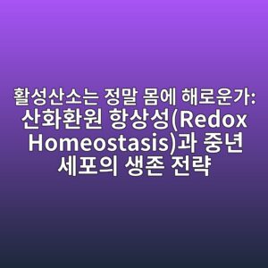 활성산소는 정말 몸에 해로운가: 산화환원 항상성(Redox Homeostasis)과 중년 세포의 생존 전략 6 ed999cec84b1ec82b0ec868ceb8a94 eca095eba790 ebaab8ec9790 ed95b4eba19cec9ab4eab080 ec82b0ed9994ed9998ec9b90 ed95adec8381ec84b1redox homeost 1788073652