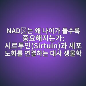 NAD⁺는 왜 나이가 들수록 중요해지는가: 시르투인(Sirtuin)과 세포 노화를 연결하는 대사 생물학 7 nade281baeb8a94 ec999c eb8298ec9db4eab080 eb93a4ec8898eba19d eca491ec9a94ed95b4eca780eb8a94eab080 ec8b9ceba5b4ed88acec9db8sirtuineab3bc 1788073515