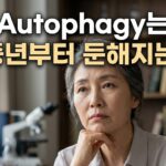mTOR·AMPK·ULK1·Beclin-1·LC3·Lysosome으로 이해하는 세포 청소 시스템